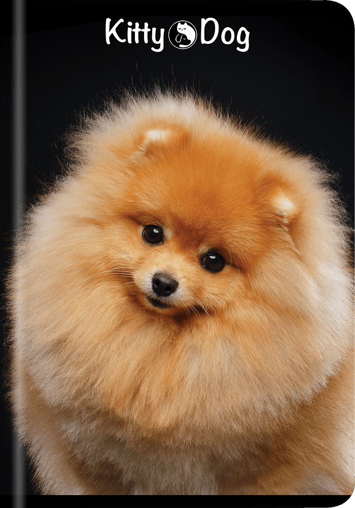Zeszyt A5 60k kratka TOP KITTY&DOG 400135996 TOP 2000