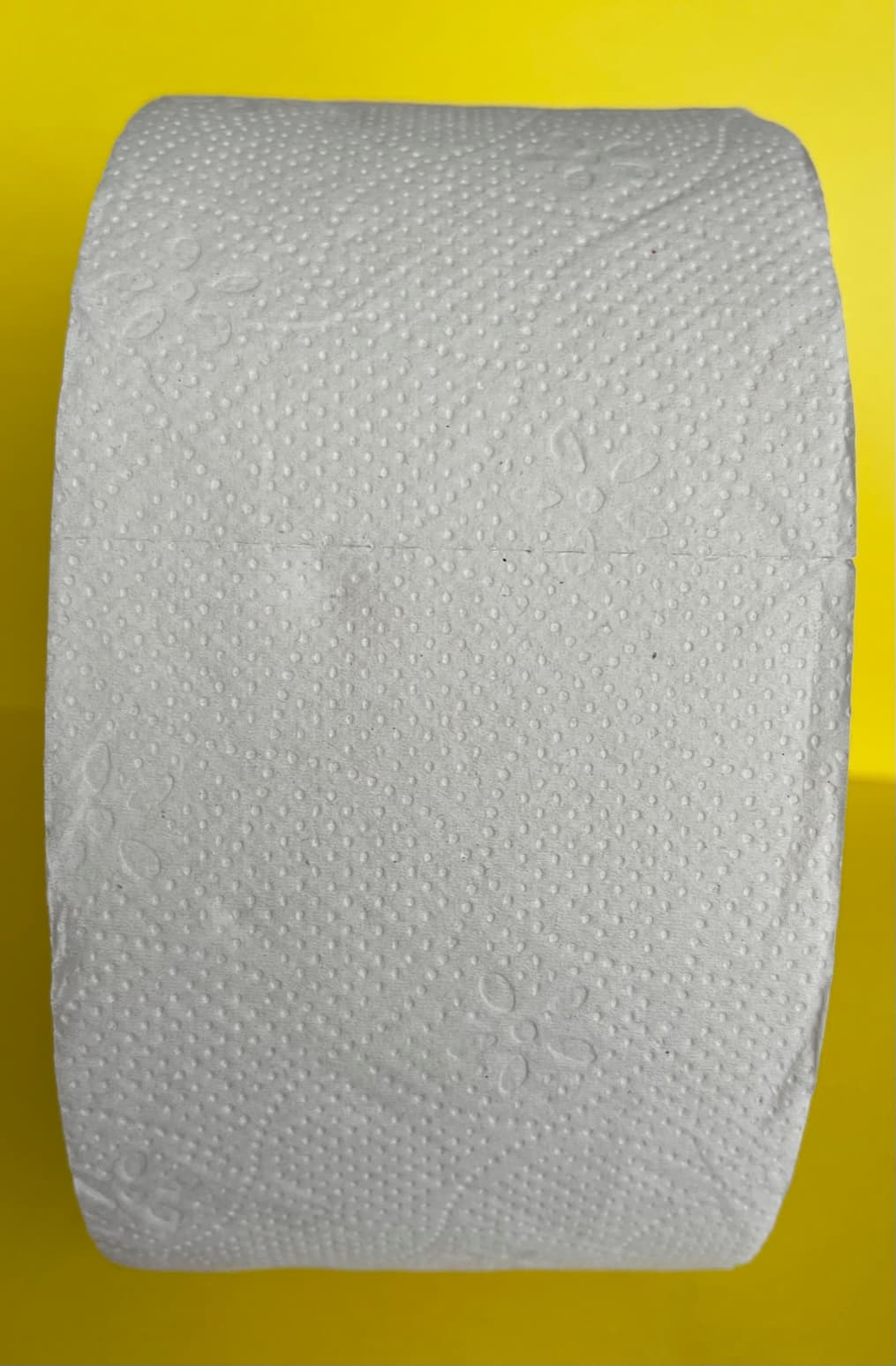 Papier toaletowy JUMBO 120m(12szt) biały 20x9,1cm 65% białości 2 warstwy 270065 PUFFO