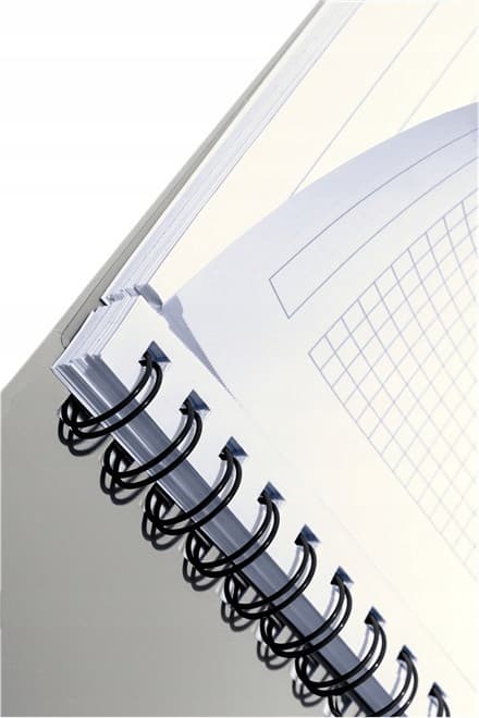 Kołonotatnik EXECUTIVE A4 PP kratka 44610000 LEITZ