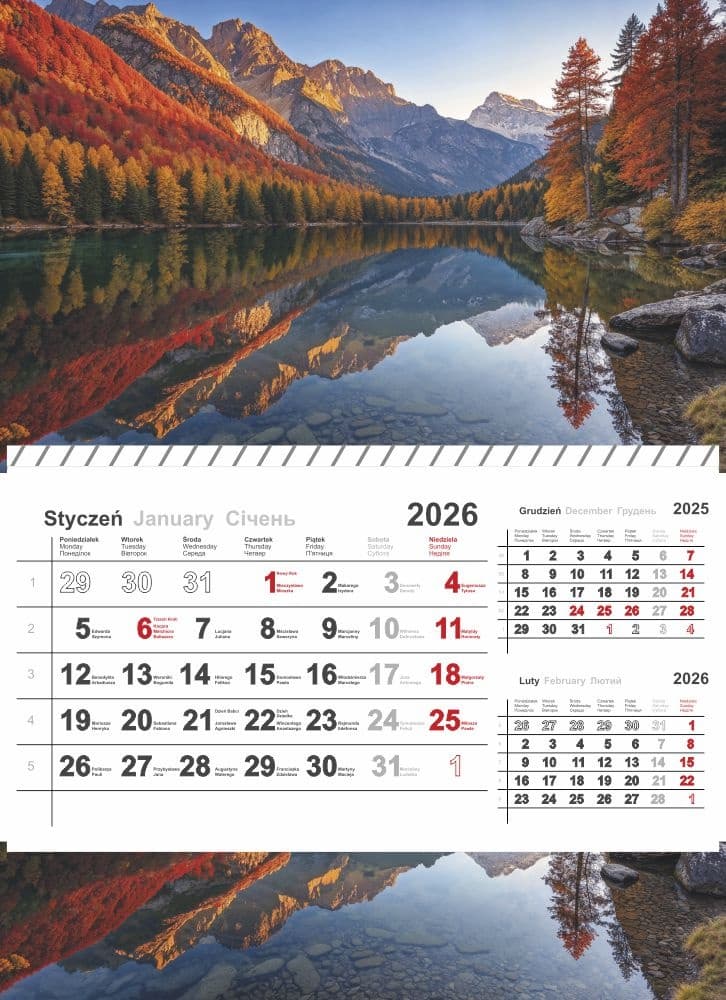 Kalendarz jednodzielny na spirali 2026 0405-0904-99 Panta Plast
