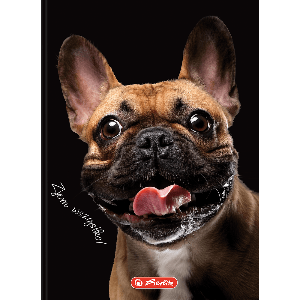 Brulion A6 80k kratka CRAZY ANIMAL 400196850 HERLITZ