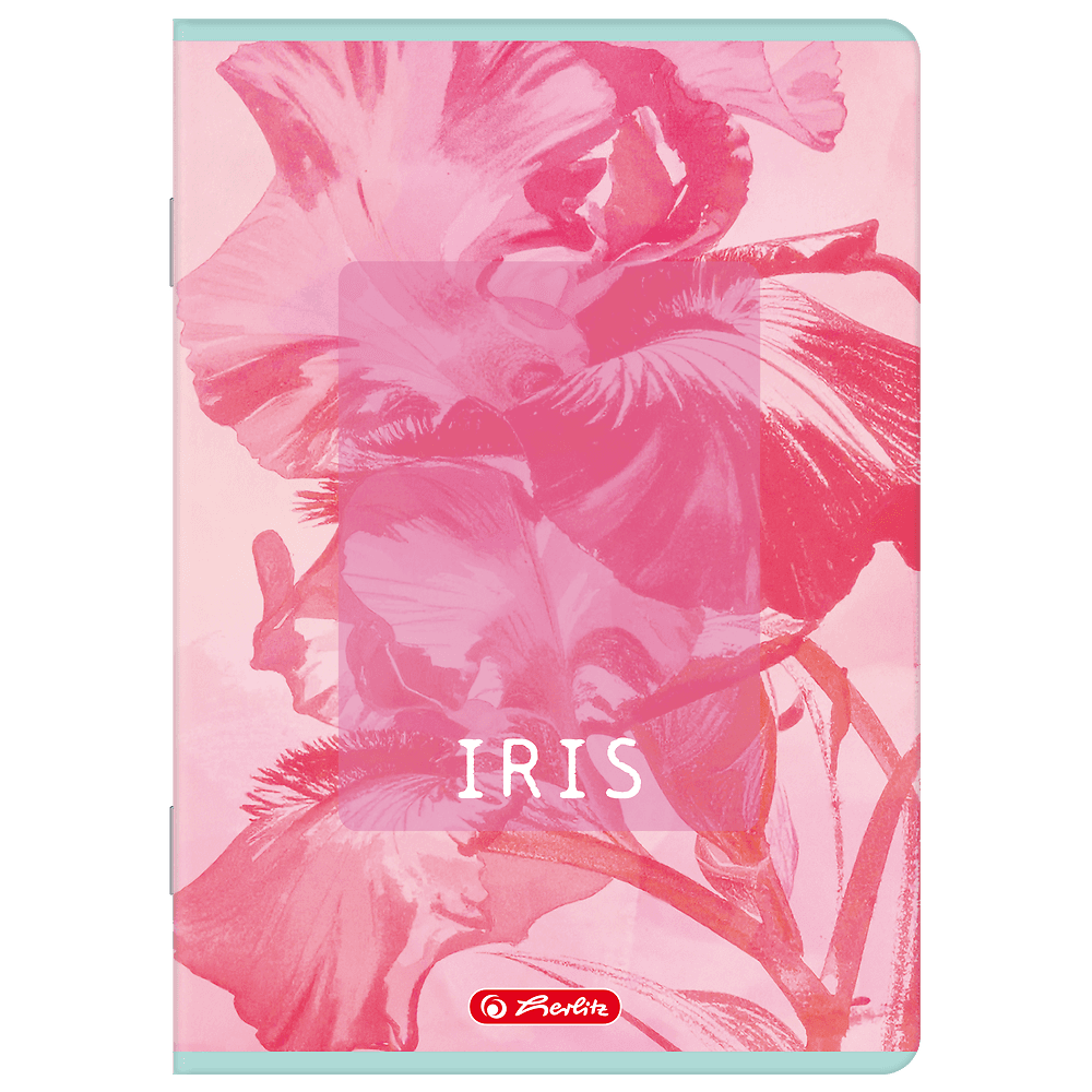 Zeszyt A4 60k kratka z marginesem BLOSSOM 400206432 HERLITZ
