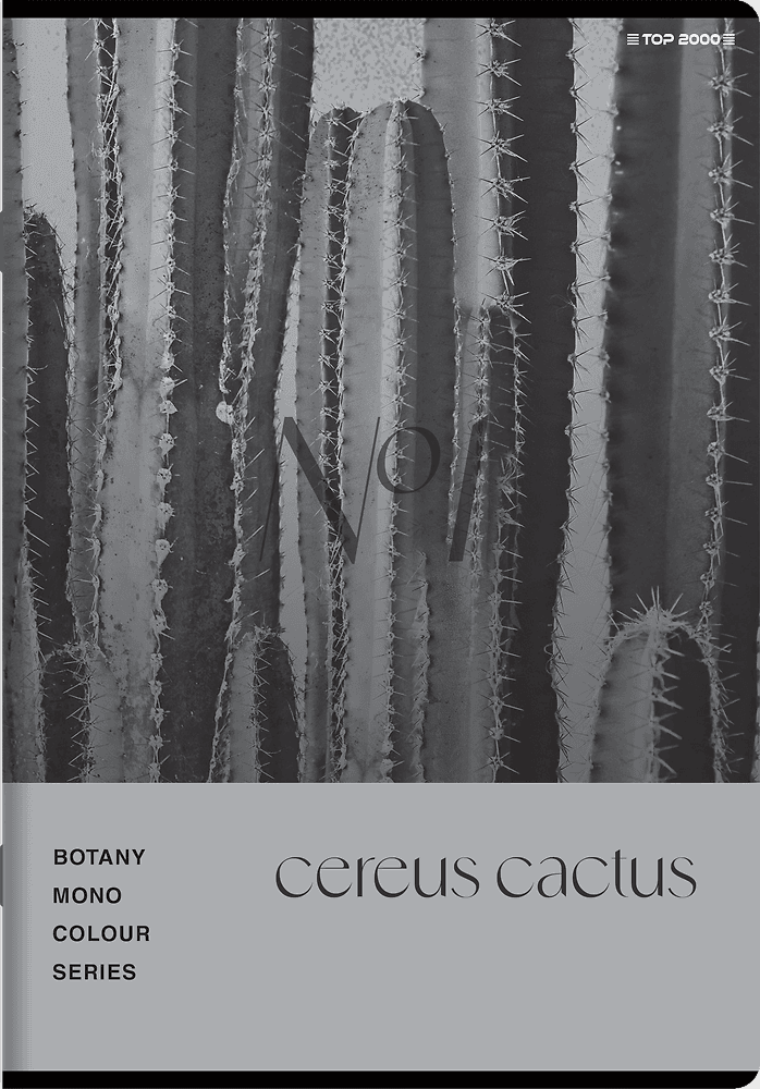 Zeszyt A5 60k kratka margines BOTANY 400182432 TOP 2000