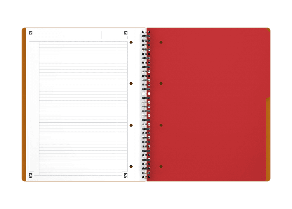Kołonotatnik A4 80K linie PP OXFORD Activebook International 100102994