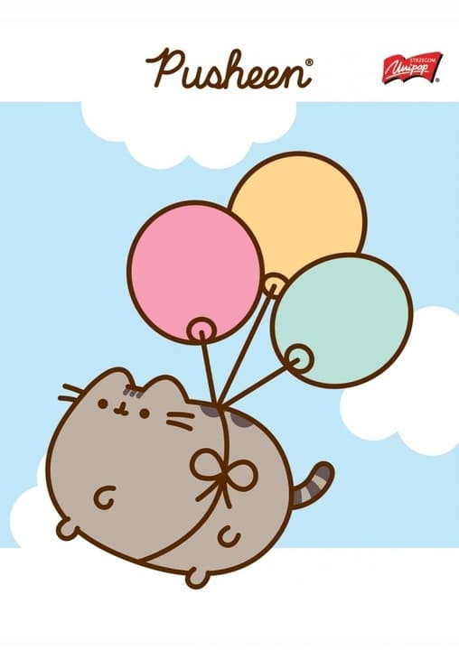 Zeszyt szkolny A5 32 kartki w kratkę laminowany PUSHEEN ST.MAJEWSKI
