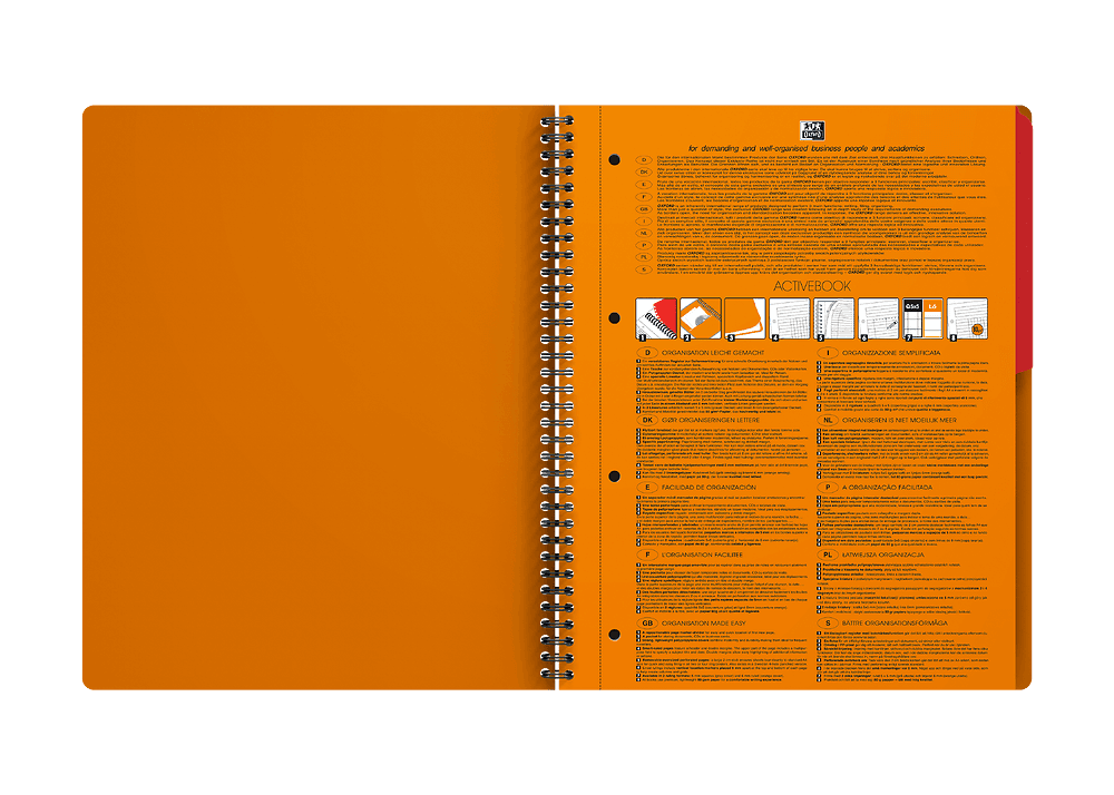 Kołonotatnik A4 80K linie PP OXFORD Activebook International 100102994