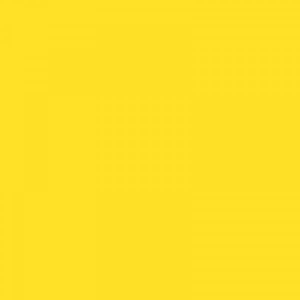 Papier ksero A4 160g EMERSON sunflower 1053