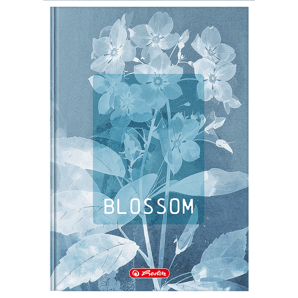 Brulion A5 96k kratka z marginesem BLOSSOM 400206436 HERLITZ