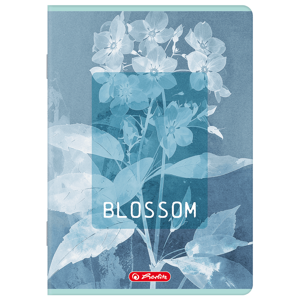 Zeszyt A5 60k kratka z marginesem BLOSSOM 400206384 HERLITZ