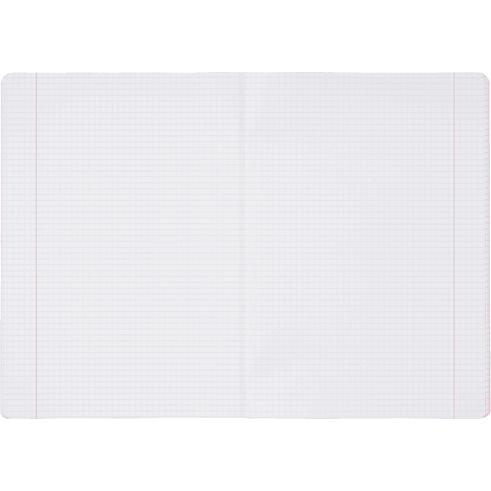 Zeszyt A5 80k kratka z marginesem RAINBOW 400197906 HERLITZ