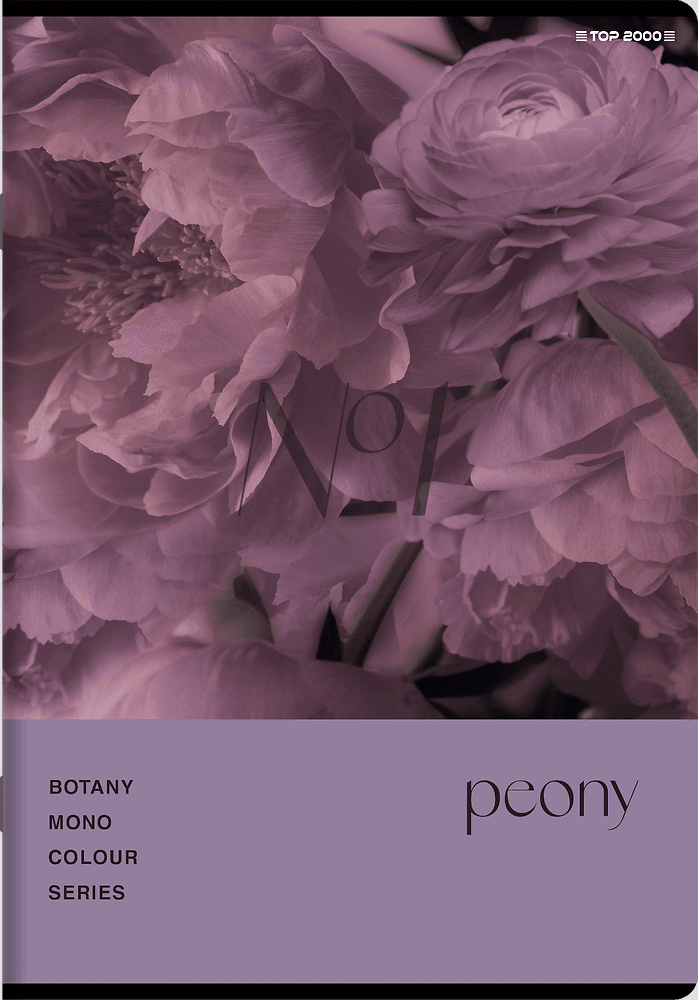 Zeszyt A5 60k kratka margines BOTANY 400182432 TOP 2000