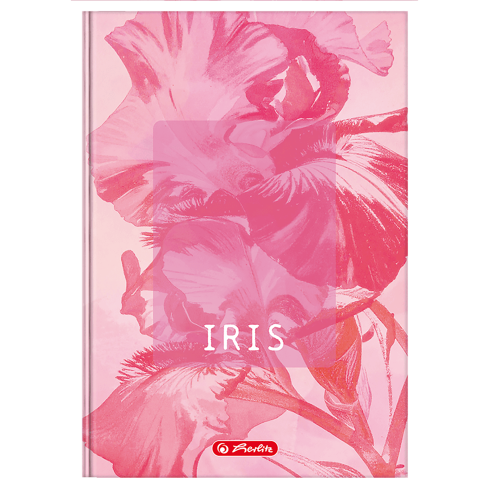 Brulion A5 96k kratka z marginesem BLOSSOM 400206436 HERLITZ