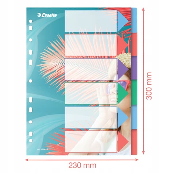 Przekładki Colour`Breeze PP A4 6 przekładek 628499 ESSELTE