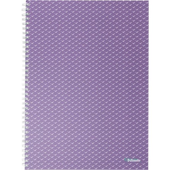Kołonotatnik Colour`Breeze A4 w kratkę lawendowy 628479 ESSELTE