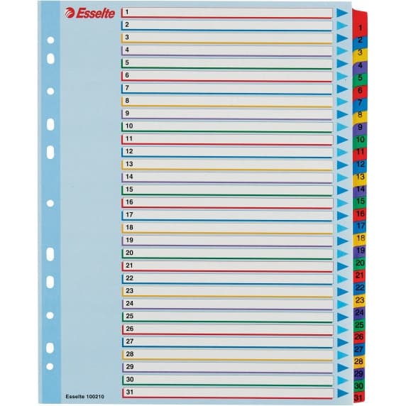 Przekładki kartonowe MYLAR A4 MAXI 1-31 ESSELTE 100210