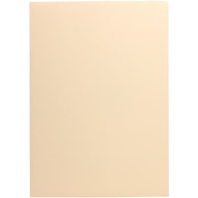 Karton wiz.A4 LEN kremowy 230g (20) 201802 Galeria Papieru