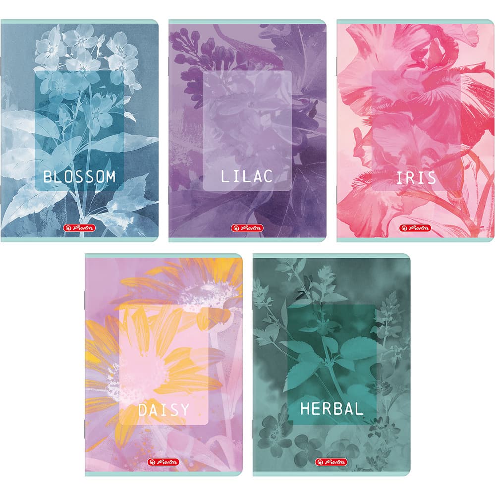 Zeszyt A5 60k linia z marginesem BLOSSOM 400206386 HERLITZ