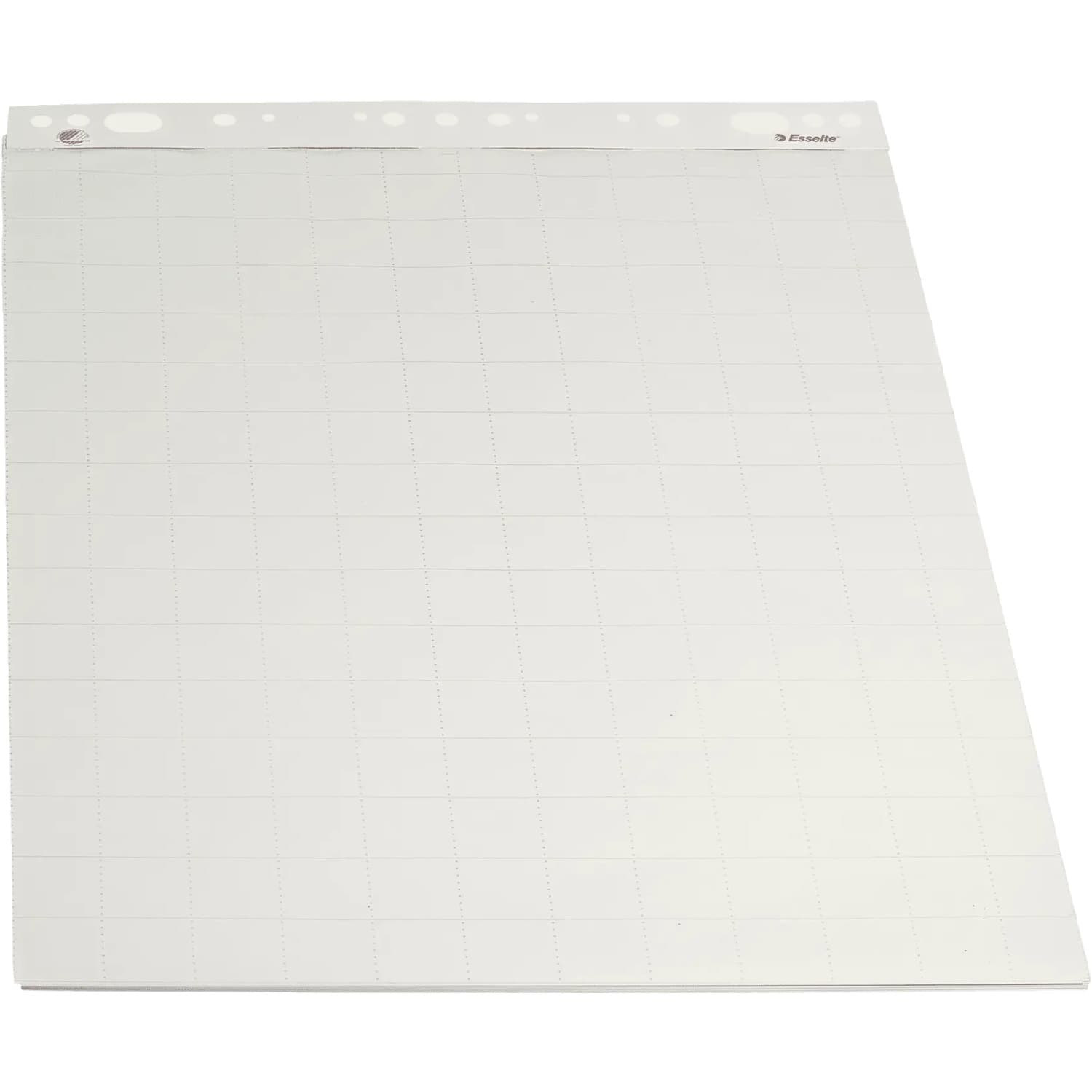 Blok do flipcharta 55x71cm 50 kartek w kratkę 96550 ESSELTE