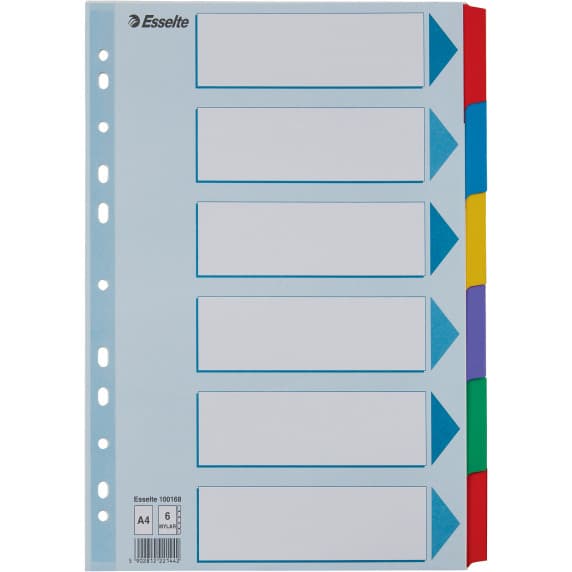 Przedkł.MYLAR A4/6 z kol.tabsa 100168