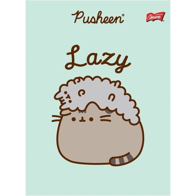 Zeszyt szkolny A5 32 kartki w kratkę laminowany PUSHEEN ST.MAJEWSKI