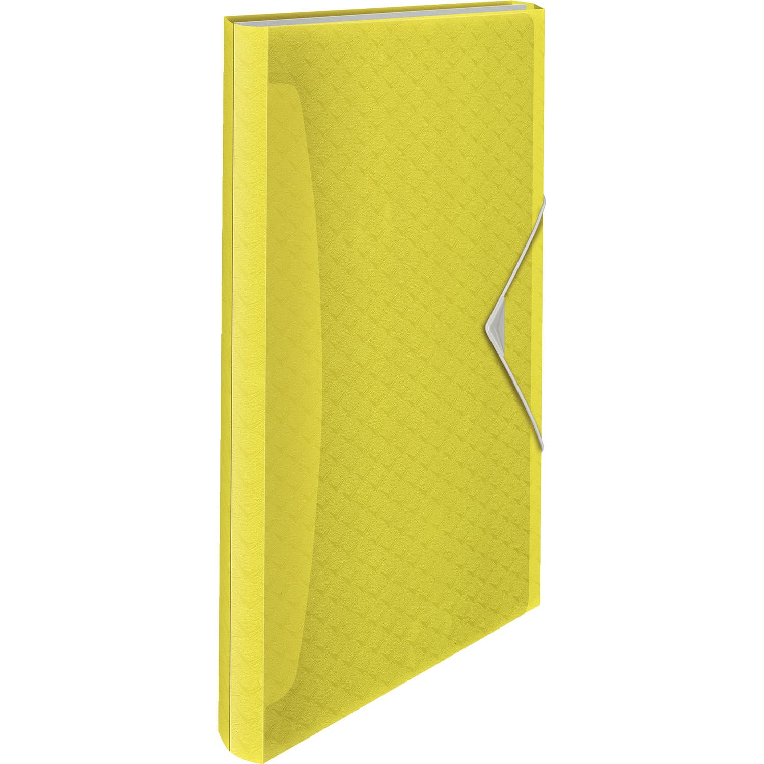 Teczka z przegródkami COLOUR"ICE żółta 626250 ESSELTE