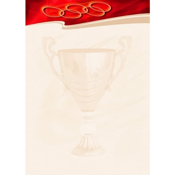 Dyplom A4 SPORT N 170g (25ark.) 212317 Galeria Papieru