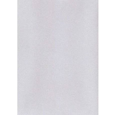 Karton wizytówkowy A4 tłoczony srebry W52 (10) KRESKA 215g