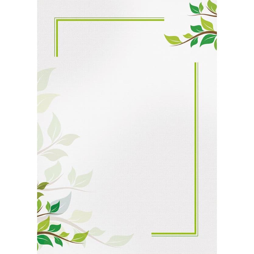 Dyplom A4 GREEN 170g (25ark) 218917 GALERIA PAPIERU