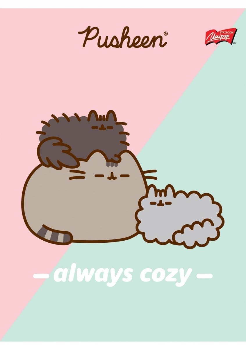 Zeszyt szkolny A5 32 kartki w 3 linie kolorową laminowany PUSHEEN ST.MAJEWSKI