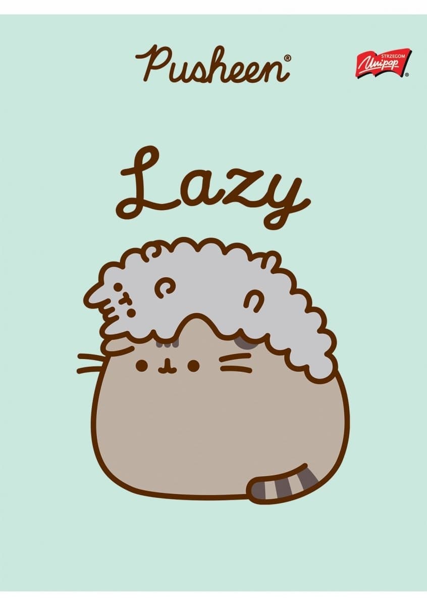 Zeszyt szkolny A5 32 kartki w 3 linie kolorową laminowany PUSHEEN ST.MAJEWSKI
