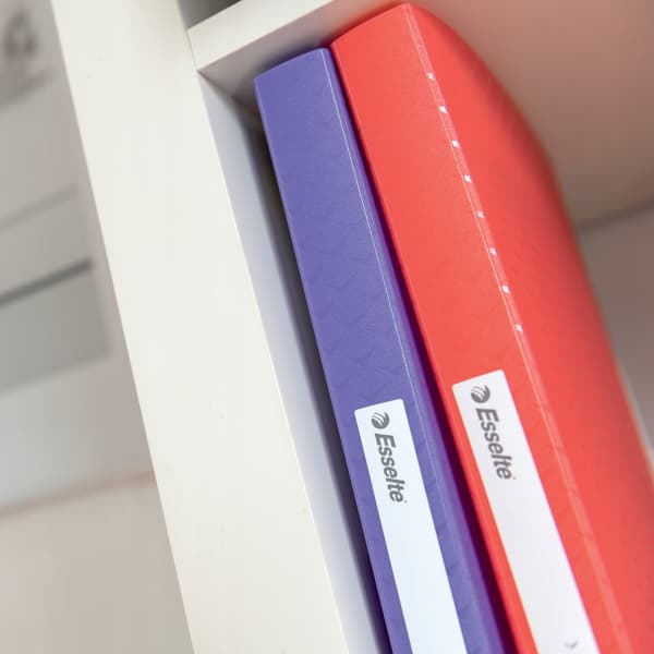 Album ofertowy Esselte Colour`Breeze z 60 koszulkami koralowy 628443