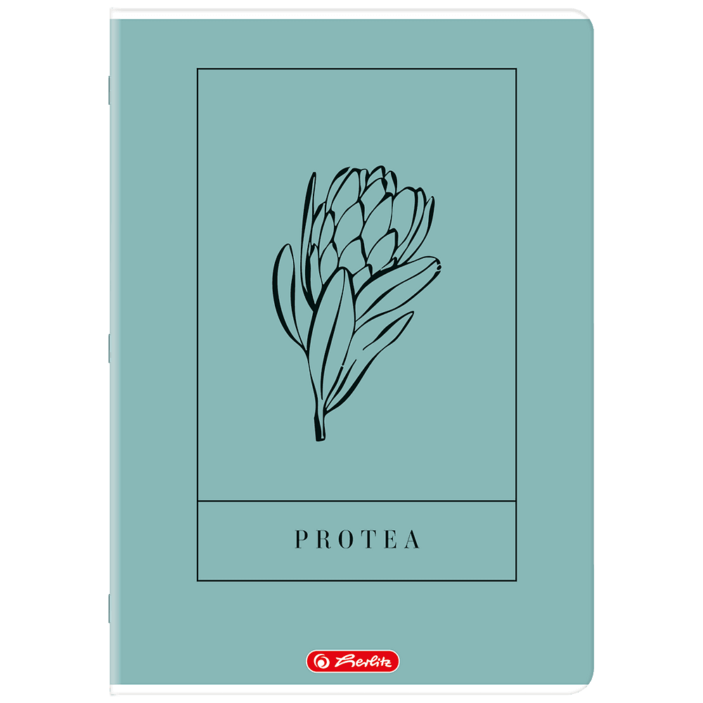 Zeszyt A4 60k linia z marginesem mix 400206364 HERLITZ