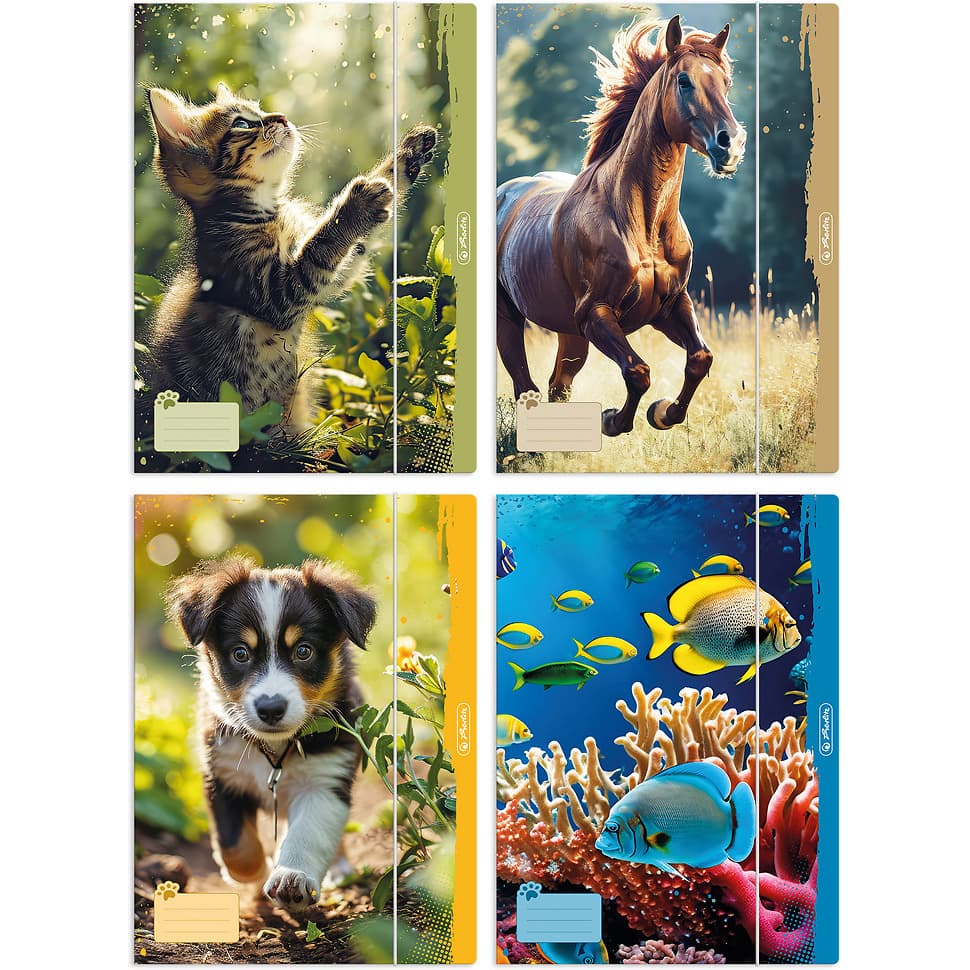 Teczka szkolna z gumką A4 ANIMALS 300023013 HERLITZ