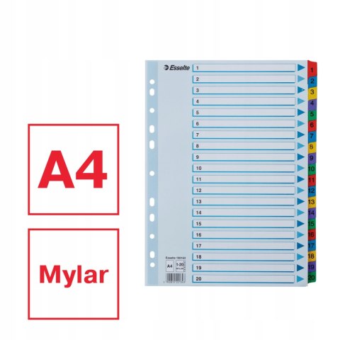 Przekładki kartonowe MYLAR A4 1-20 białe 100163 ESSELTE