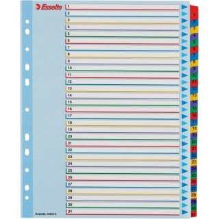 Przekładki kartonowe MYLAR A4 MAXI 1-31 ESSELTE 100210