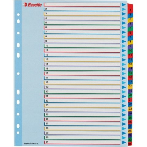 Przekładki kartonowe MYLAR A4 MAXI 1-31 ESSELTE 100210