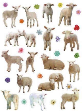 Naklejka Craft-Fun Series Sheep 490754 TITANUM