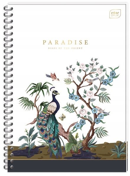 Kołozeszyt A4 100k kolorowy margines TO INTERDRUK