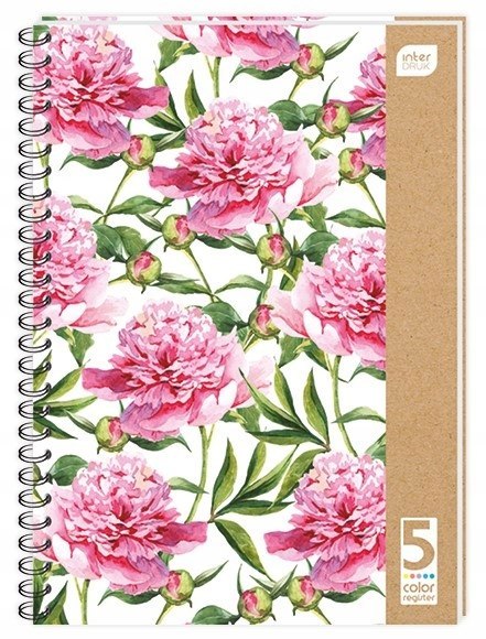 Kołozeszyt A4 100k kolorowe registry INTERDRUK