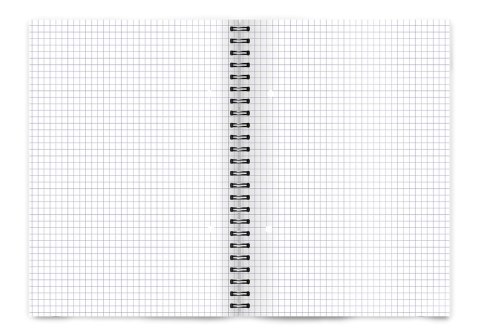 Kołozeszyt A5 80k kratka COLORS 400169232 TOP 2000