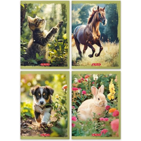 Zeszyt A4 32k 3linia ANIMALS 9583097 HERLITZ