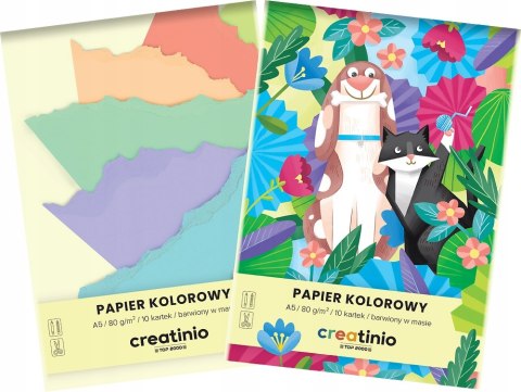 Zeszyt papierów kolorowych A5 10k 80g CREATINIO 400176683 TOP 2000