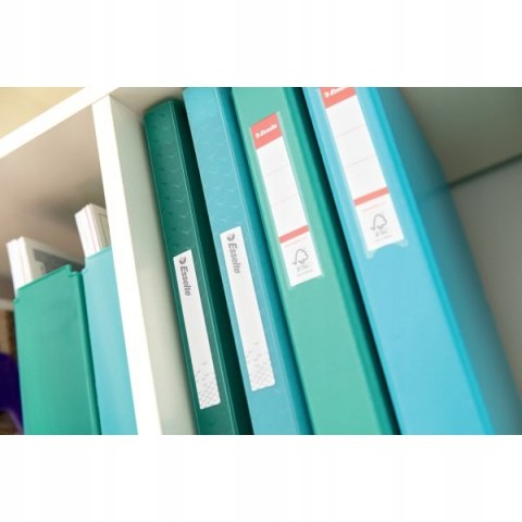 Album ofertowy na dokumenty A4 80 kieszeni Colour`Breeze zielony 626238 ESSELTE