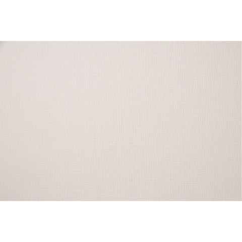 Karton wizytówkowy (20 arkuszy) W47 siateczka ercu KRESKA