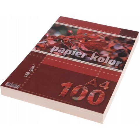 Papier ksero A4 160g KRESKA waniliowy 100ark