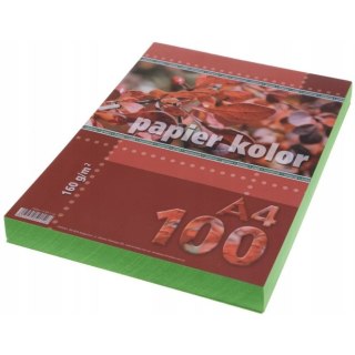 Papier ksero A4 160g KRESKA zielony 100ark