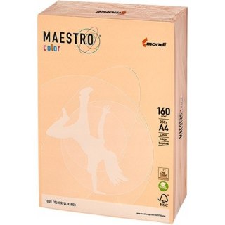 Papier ksero A4 160g MAESTRO COLOR SA24 pastel łososiowy (250arkuszy)