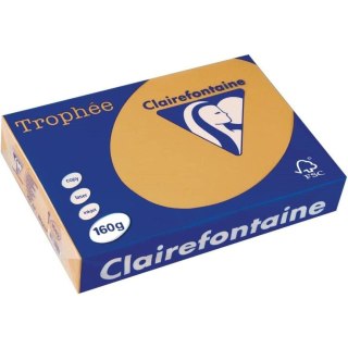 Papier ksero A4 160g TROPHEE wielbłądzi brąz 250ark 1102