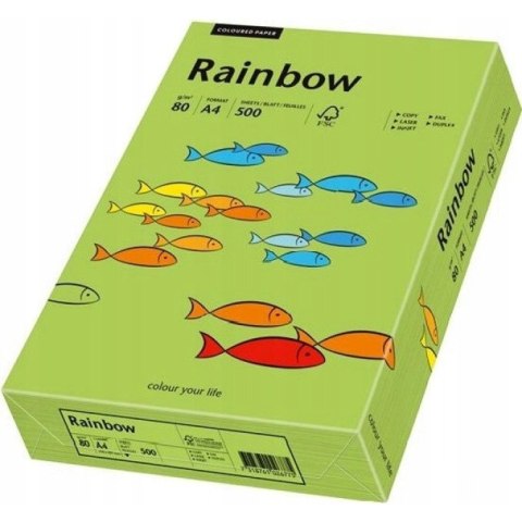 Papier ksero A4 80g RAINBOW R76 zielony 88042651