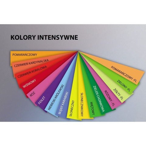 Papier ksero A4 80g TROPHEE zielony fluo 2975 500ark